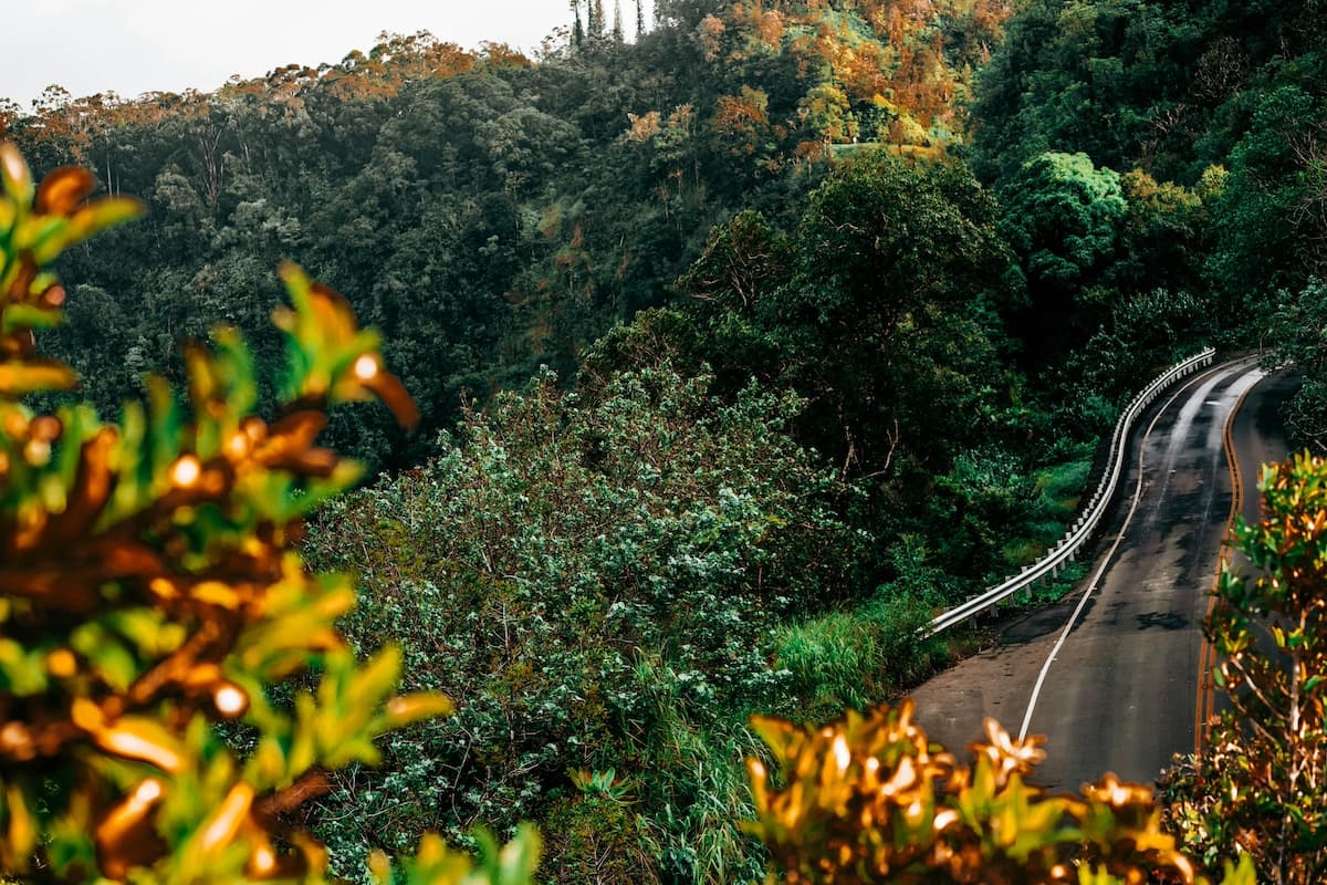 Scenic Drive Maui 