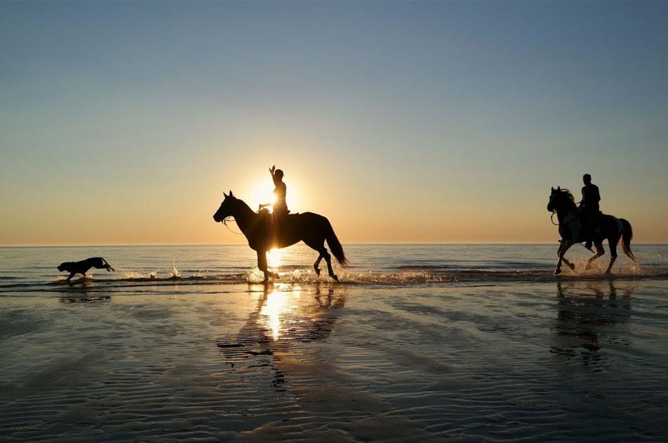 Horseback riding in Maui