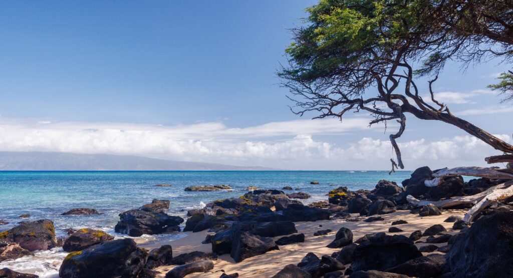Beautiful Maui landscape in Hawaii featuring a sandy beach, turquoise sea, and lush greenery