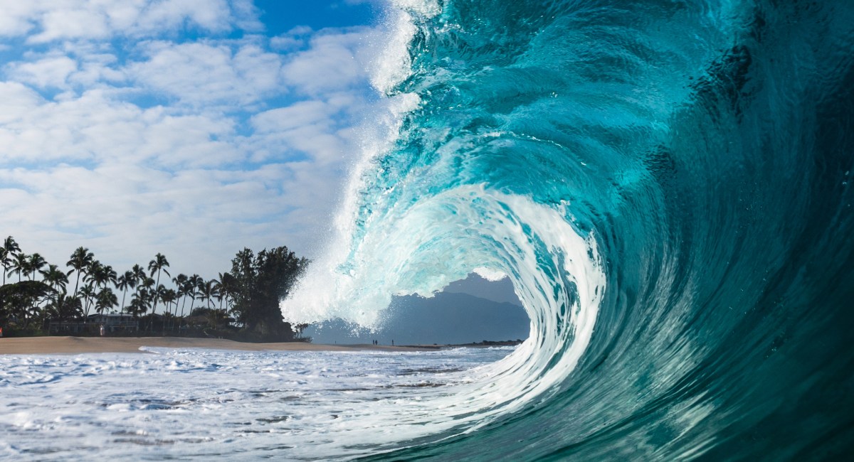 Surfing on Maui: Your Complete Guide to Hawaii’s Premier Wave-Riding Paradise