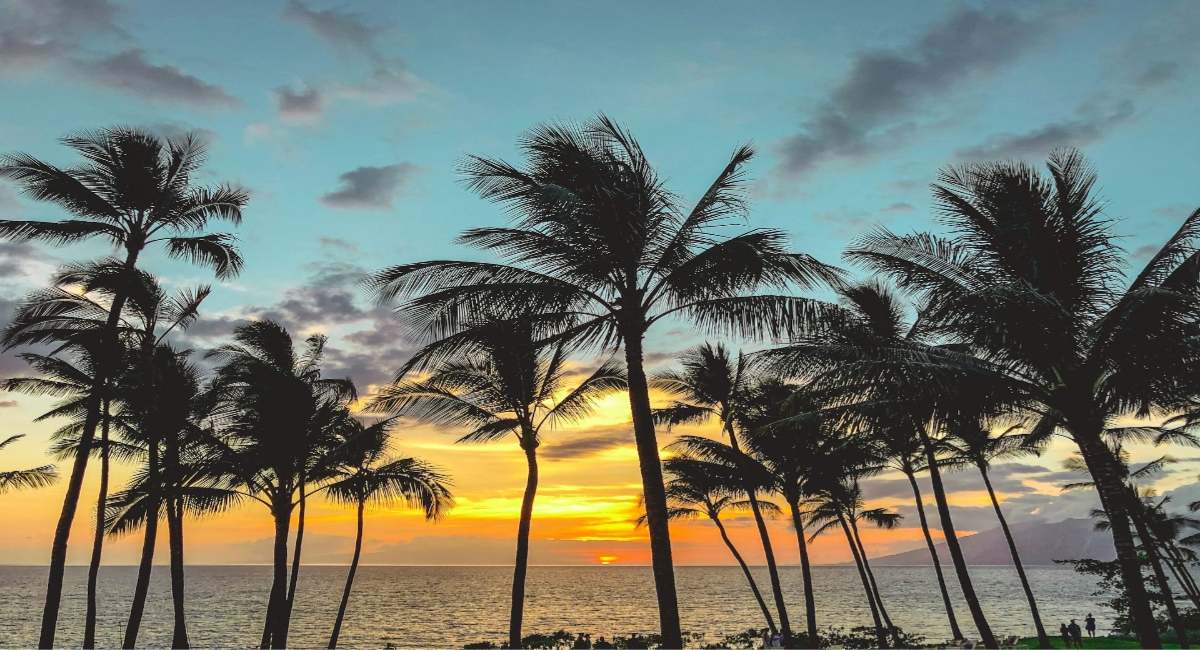 Solo Travel to Maui: Your Complete Guide to Paradise – on Your Own Terms