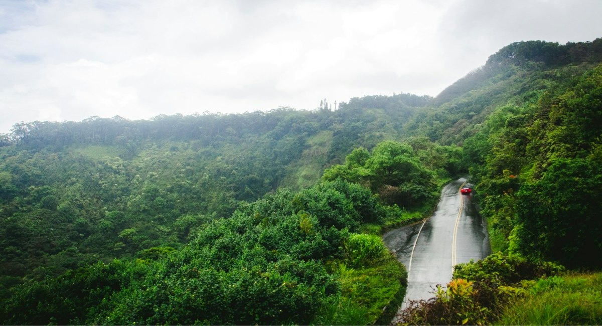 Red car navigating curves on the Road to Hana through dense tropical rainforest