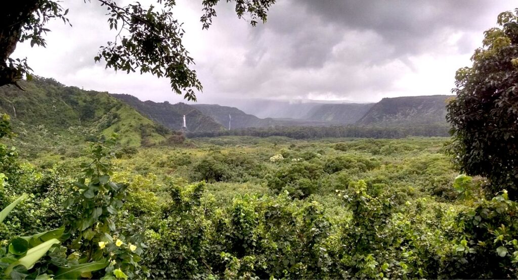 Sweeping view of verdant Wailua Valley with distant waterfalls 
