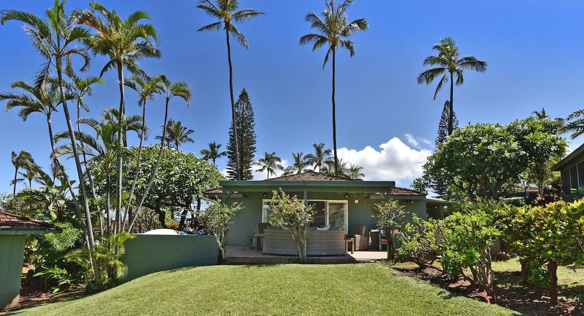 International Colony Club 20 - by lush greenery and tall palm trees under a clear blue sky. The serene, tropical setting conveys a sense of calm and relaxation.