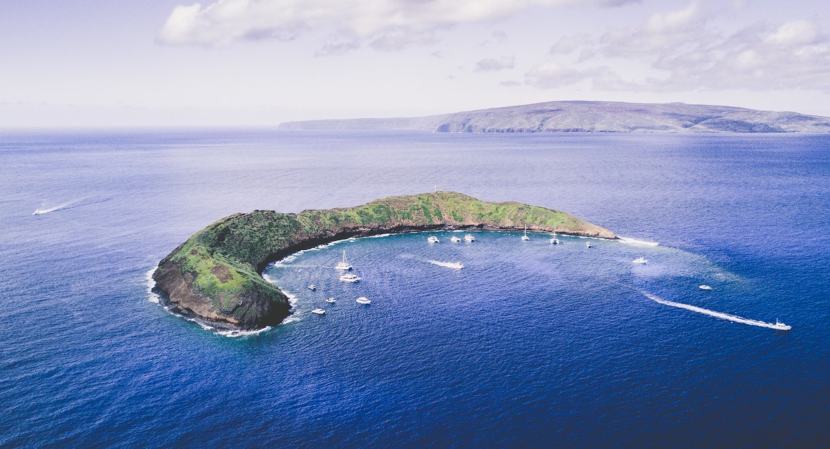 Humpback whale watching off South Maui
