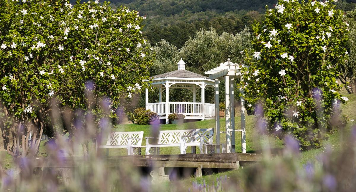 White garden gazebo surrounded by lavender and flowering plants at Aliʻi Kula Lavender Farm in Kula, Upcountry Maui