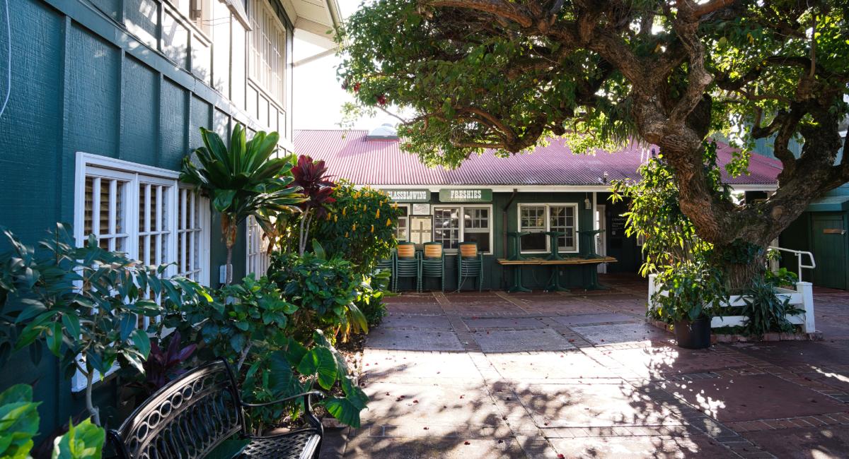 A shaded outdoor seating area along Baldwin Avenue in Makawao, the paniolo-rooted Upcountry Maui town known for its galleries, restaurants, and locally owned shops